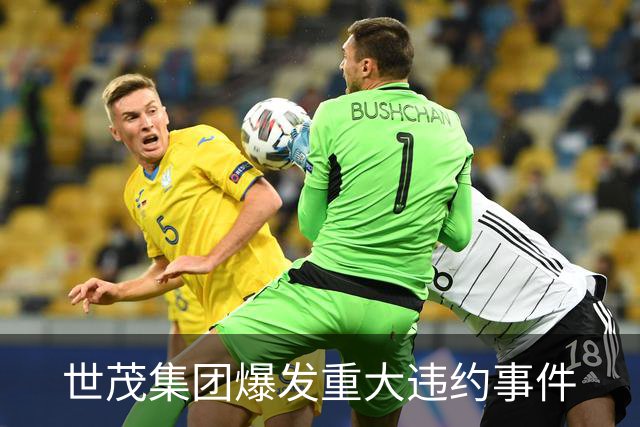 世茂集团爆发重大违约事件
