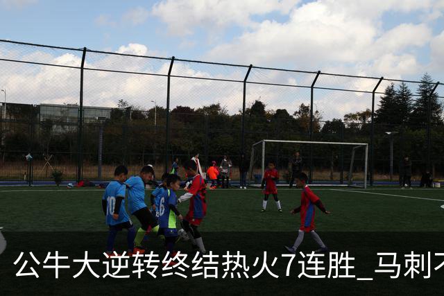 公牛大逆转终结热火7连胜 马刺不敌灰熊8连败