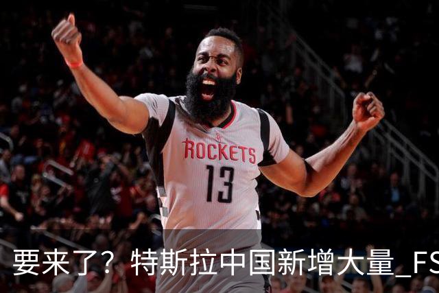 要来了？特斯拉中国新增大量 FSD 功能和图标